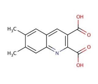 6,7-Dimethylquinoline-2,3-dicarboxylic acid (CAS 948294-45-9) - chemical structure image