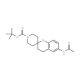 6-Acetylamino-2-spiro(N-Boc-piperidine-4-yl)-benzopyran (CAS 886363-78-6) - chemical structure image