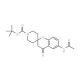 6-Acetylamino-4-oxo-2-spiro(N-Boc-piperidine-4-yl)-benzopyran (CAS 223559-44-2) - chemical structure image