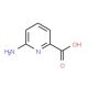 6-Aminopyridine-2-carboxylic acid (CAS 23628-31-1) - chemical structure image