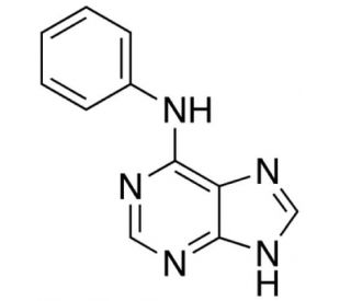 6-Anilinopurine (CAS 1210-66-8) - chemical structure image