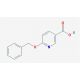 6-(benzyloxy)nicotinic acid (CAS 94084-76-1) - chemical structure image