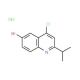 6-Bromo-4-chloro-2-isopropylquinoline hydrochloride (CAS 1170370-51-0) - chemical structure image