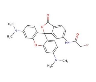 6-[Bromoacetamido]tetramethylrhodamine (CAS 166442-39-3) - chemical structure image