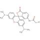 6-[Bromoacetamido]tetramethylrhodamine (CAS 166442-39-3) - chemical structure image