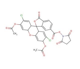6-Carboxy-2&prime;,7&prime;-dichlorofluorescein-3&prime;,6&prime;-diacetatesuccinimidyl Ester - chemical structure image