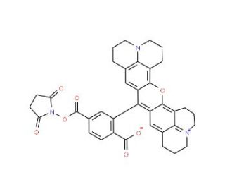 6-Carboxy-X-rhodamine N-succinimidyl ester (CAS 216699-36-4) - chemical structure image