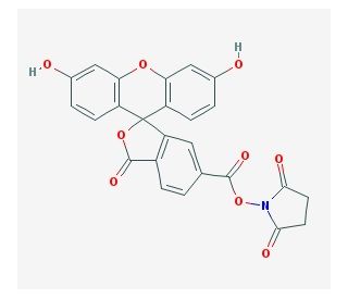 6-Carboxyfluorescein N-hydroxysuccinimide ester (CAS 92557-81-8) - chemical structure image