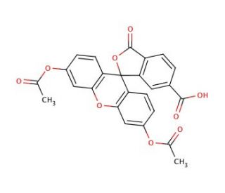 6-Carboxyfluoresceine diacetate (CAS 3348-03-6) - chemical structure image