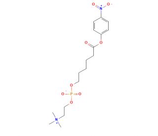 6-Carboxyhexylphosphocholine p-Nitrophenyl Ester (CAS 73785-43-0) - chemical structure image