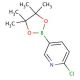 6-Chloro-3-pyridineboronic acid pinacol ester (CAS 444120-94-9) - chemical structure image