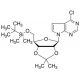 6-Chloro-7-deaza-9-(5′-O-TBDMS-2′,3′-O-isopropylidine-β-D-ribofuranosyl)purine (CAS 115479-39-5) - chemical structure image