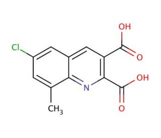 6-Chloro-8-methylquinoline-2,3-dicarboxylic acid (CAS 948289-44-9) - chemical structure image