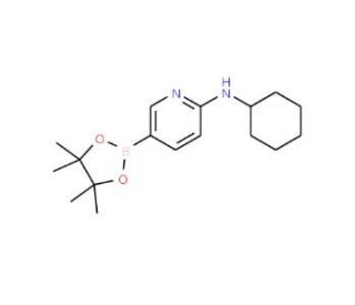 6-(Cyclohexylamino)pyridine-3-boronic acid pinacol ester (CAS 1073354-34-3) - chemical structure image