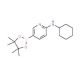 6-(Cyclohexylamino)pyridine-3-boronic acid pinacol ester (CAS 1073354-34-3) - chemical structure image