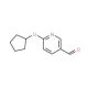 6-Cyclopentyloxypyridine-3-carboxaldehyde - chemical structure image
