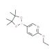 6-Ethoxypyridine-3-boronic acid pinacol ester (CAS 1072945-01-7) - chemical structure image