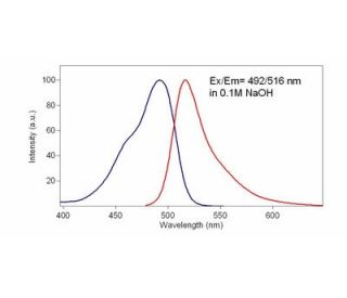 6-FAM phosphoramidite: sc-363596