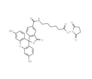 6-[Fluorescein-5(6)-carboxamido]hexanoic acid N-hydroxysuccinimide ester (CAS 114616-31-8) - chemical structure image