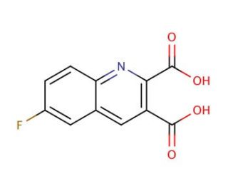 6-Fluoroquinoline-2,3-dicarboxylic acid (CAS 892874-70-3) - chemical structure image