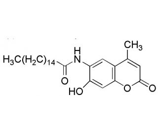 6-Hexadecanoylamido-4-methylumbelliferone - chemical structure image