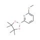 6-Methoxypyridine-2-boronic acid pinacol ester (CAS 1034297-69-2) - chemical structure image