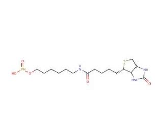 6-N-Biotinylaminohexyl Hydrogenphosphonate (CAS 224583-35-1) - chemical structure image
