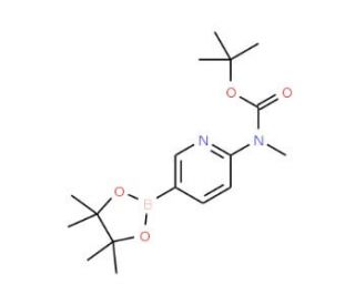 6-(N-Boc-methylamino)pyridine-3-boronic acid pinacol ester (CAS 1032758-87-4) - chemical structure image