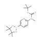 6-(N-Boc-methylamino)pyridine-3-boronic acid pinacol ester (CAS 1032758-87-4) - chemical structure image