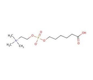 6-(O-Phosphorylcholine)hydroxyhexanoic Acid (CAS 73839-24-4) - chemical structure image