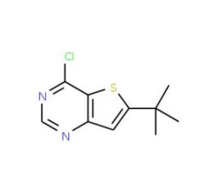6-t-Butyl-4-chlorothieno[3,2-d]pyrimidine (CAS 439693-52-4) - chemical structure image