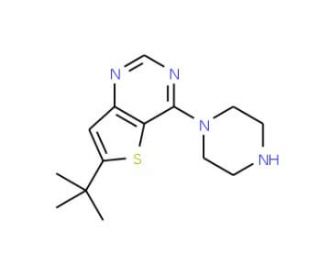 6-t-Butyl-4-piperazinothieno[3,2-d]pyrimidine (CAS 683274-69-3) - chemical structure image