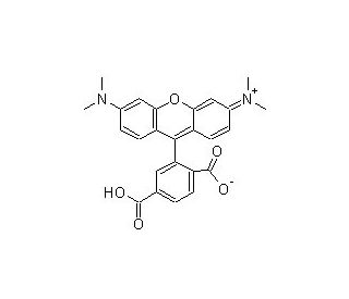 6-TAMRA (CAS 91809-67-5) - chemical structure image 