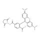 6-TAMRA SE (CAS 150810-69-8) - chemical structure image