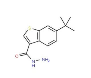 6-tert-Butyl-1-benzothiophene-3-carbohydrazide - chemical structure image