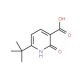 6-tert-Butyl-2-oxo-1,2-dihydro-pyridine-3-carboxylic acid - chemical structure image