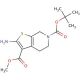 6-tert-butyl 3-methyl 2-amino-4,7-dihydrothieno[2,3-c]pyridine-3,6(5H)-dicarboxylate (CAS 877041-47-9) - chemical structure i