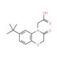 (6-tert-Butyl-3-oxo-2,3-dihydro-benzo[1,4]oxazin-4-yl)-acetic acid - chemical structure image