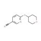 6-(Tetrahydro-2H-pyran-4-yloxy)pyridine-3-carbonitrile (CAS 884507-60-2) - chemical structure image