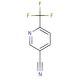 6-(Trifluoromethyl)nicotinonitrile (CAS 216431-85-5) - chemical structure image