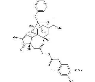 6&prime;-Iodoresiniferatoxin (CAS 335151-55-8) - chemical structure image