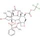 7-{[(2,2,2,-Trichloroethyl)oxy]carbonyl} Baccatin III - chemical structure image