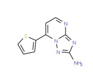7-(2-Thienyl)[1,2,4]triazolo[1,5-a]pyrimidin-2-amine (CAS 338793-17-2) - chemical structure image
