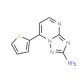 7-(2-Thienyl)[1,2,4]triazolo[1,5-a]pyrimidin-2-amine (CAS 338793-17-2) - chemical structure image
