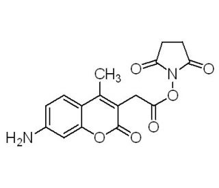 7-Amino-4-methyl-3-coumarinacetic acid N-succinimidyl ester (CAS 113721-87-2) - chemical structure image 