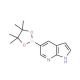 7-Azaindole-5-boronic acid pinacol ester (CAS 754214-56-7) - chemical structure image