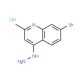 7-Bromo-4-hydrazino-2-methylquinoline hydrochloride (CAS 1172816-69-1) - chemical structure image