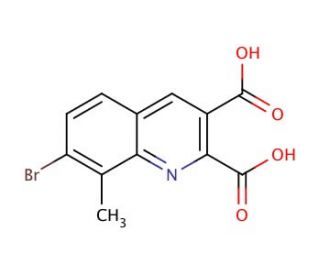 7-Bromo-8-methylquinoline-2,3-dicarboxylic acid (CAS 1189107-64-9) - chemical structure image