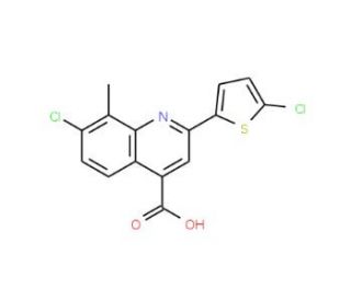 7-Chloro-2-(5-chlorothien-2-yl)-8-methylquinoline-4-carboxylic acid - chemical structure image