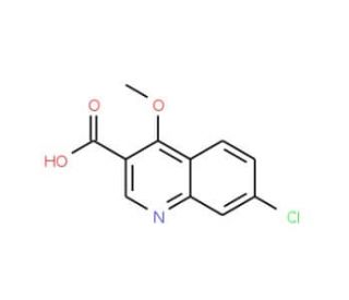 7-Chloro-4-methoxy-quinoline-3-carboxylic acid - chemical structure image